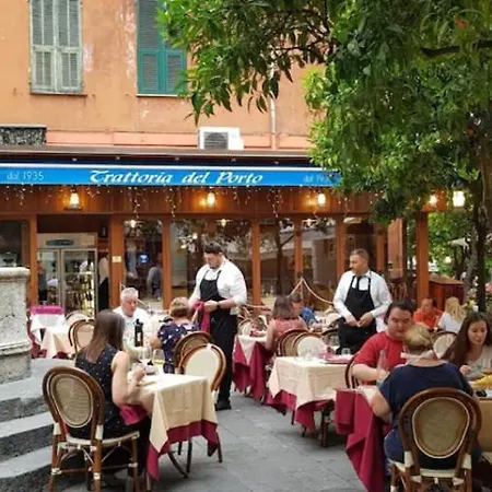 Iris Centralissimo Daire