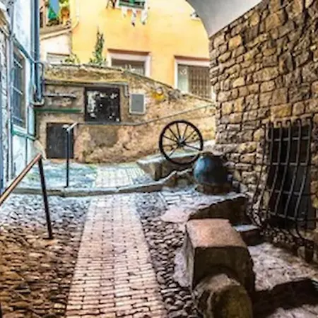 Daire Iris Centralissimo Sanremo