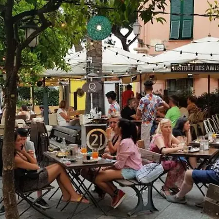 Daire Iris Centralissimo *