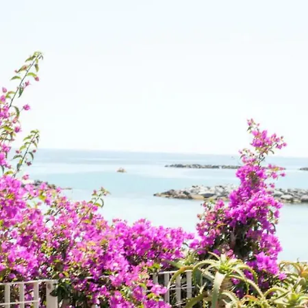 Iris Centralissimo * San Remo