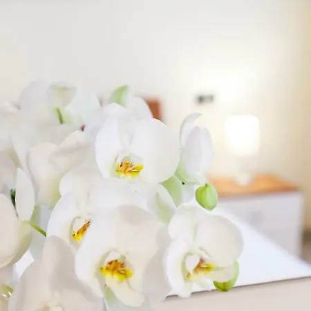 Appartement Iris Centralissimo *