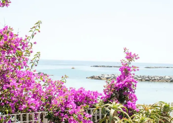 Iris Centralissimo * サンレモ