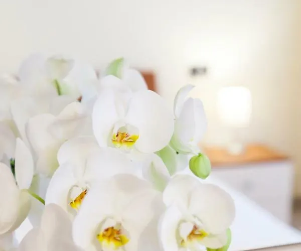 דירה Iris Centralissimo *